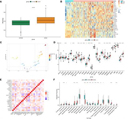 Comprehensive analysis of mitophagy-related genes in NSCLC diagnosis and immune scenery: based on bulk and single-cell RNA sequencing data